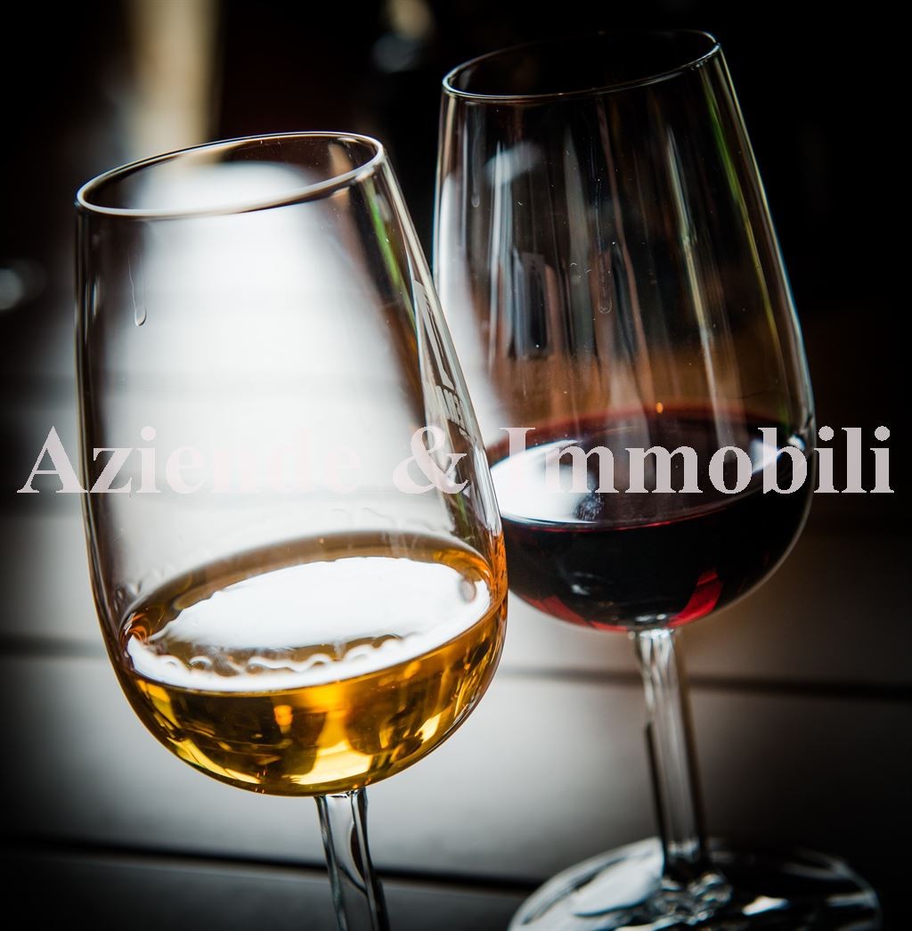 Bulciago bar tavola fredda in vendita